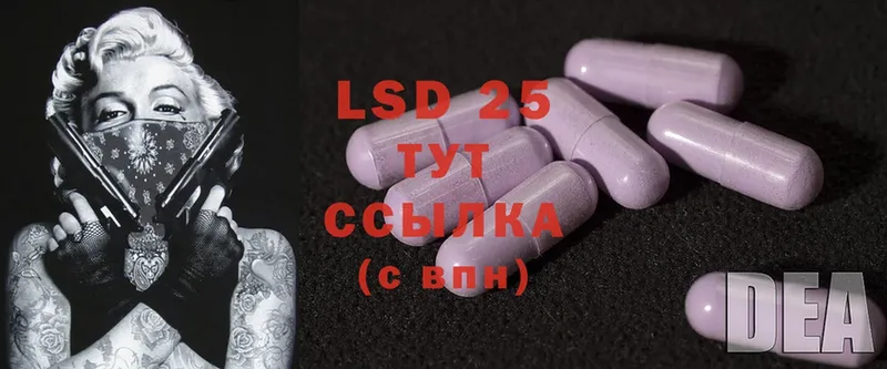 Лсд 25 экстази ecstasy  продажа наркотиков  Курганинск 